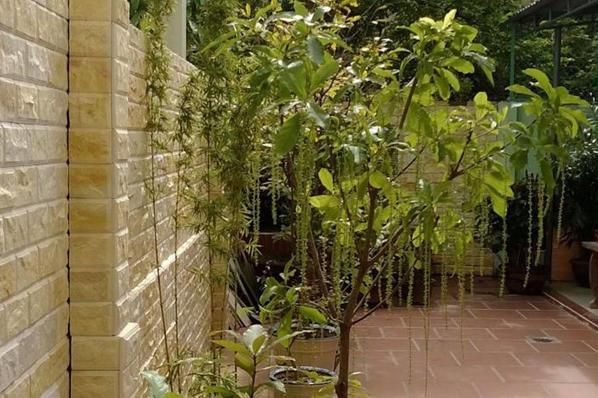 Hi Hop Yen Homestay Hoi An Eksteriør bilde